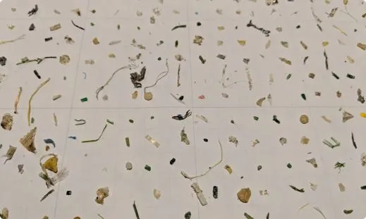 Microplastics